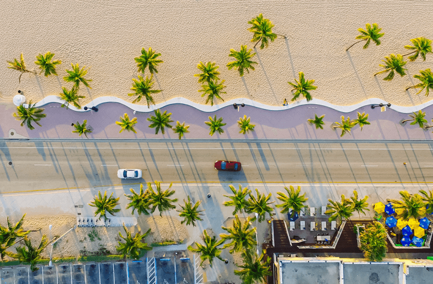 Miami Dade cover image.